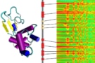 amino acid orchestra