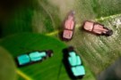 Photograph of 3D-printed objects shaped like beetles. There are four such objects in the photo, two of them coloured red and two coloured green, and they are sitting on a leaf that forms the photo's background