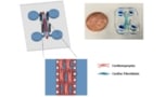 The microfluidic device