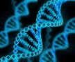 A representation of the DNA double helix with 1's and 0's linking the two strands