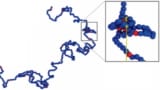 DNA modelled as beads