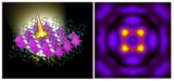 emerging exciton vortices