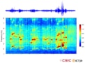 Seismic record