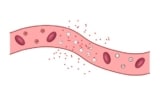 Thermosensitive liposomes