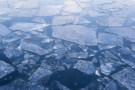 Photo of Arctic sea ice