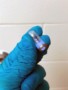 A gloved hand holding a small vial full of polymerl vial