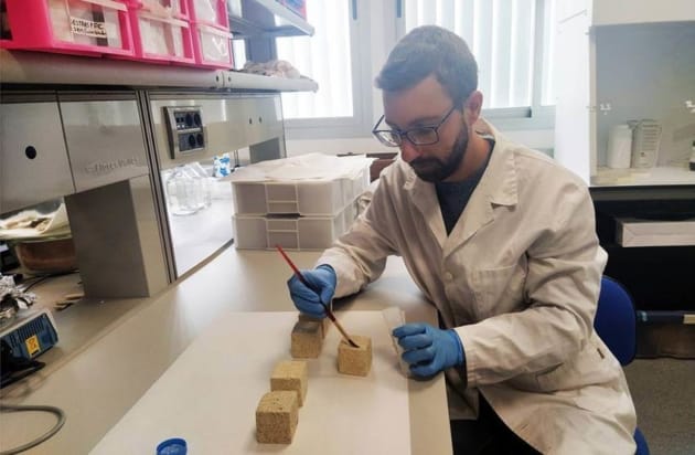 Nanorepair UV being applied to limestone samples