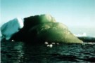 Photo of green iceberg