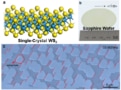 2D tungsten disulphide