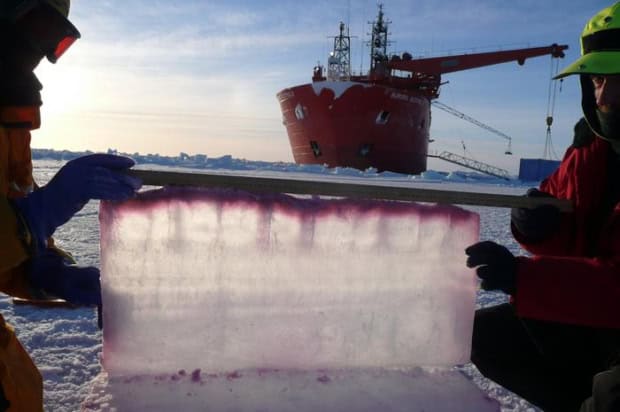 An upside-down sea ice slab showcasing brine channels that facilitate the drainage of liquid brine and support convection along the interface