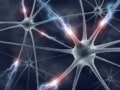 neurons - 4422514 - iStock_ktsimage