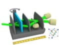 Diagram of the possible paths followed by the neutron through the interferometer used in the experiment