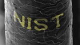 NIST on a strand of hair