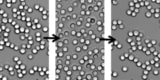 Colloidomers