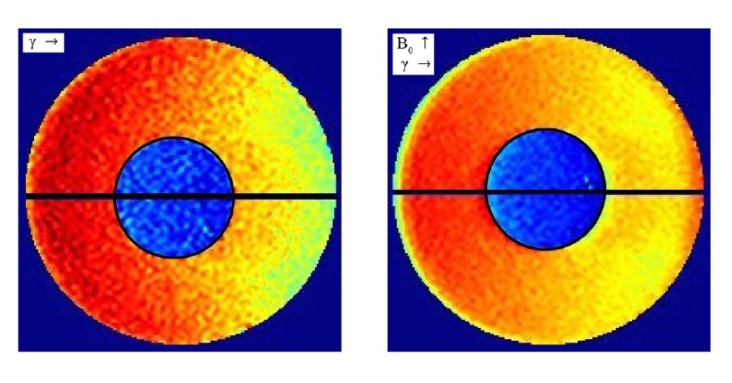 Dose maps