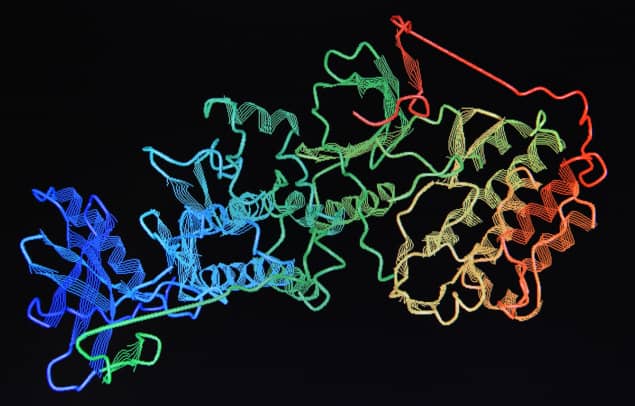 Structure of a protein molecule