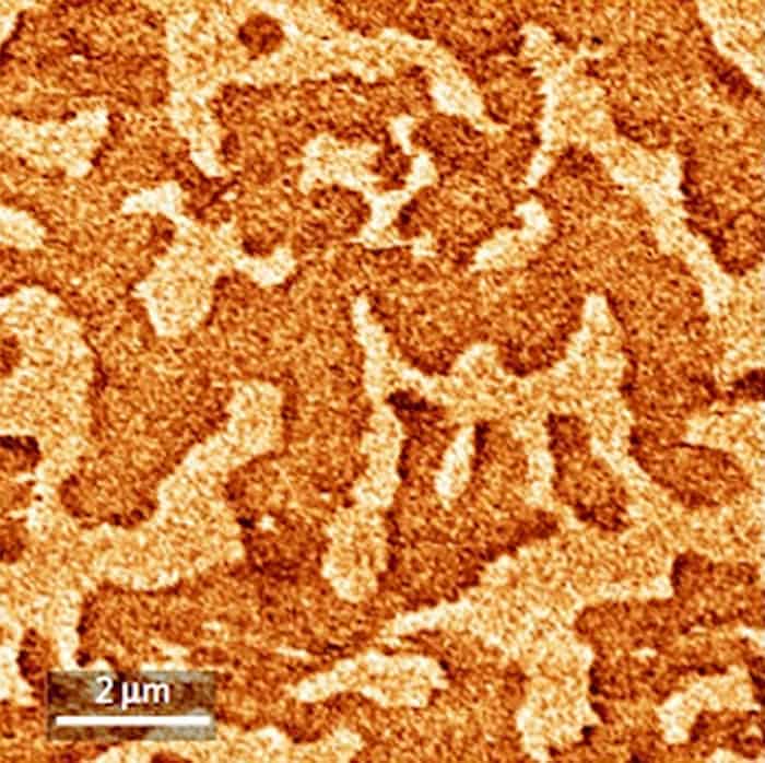 Magnetic force microscopy image of a garnet film