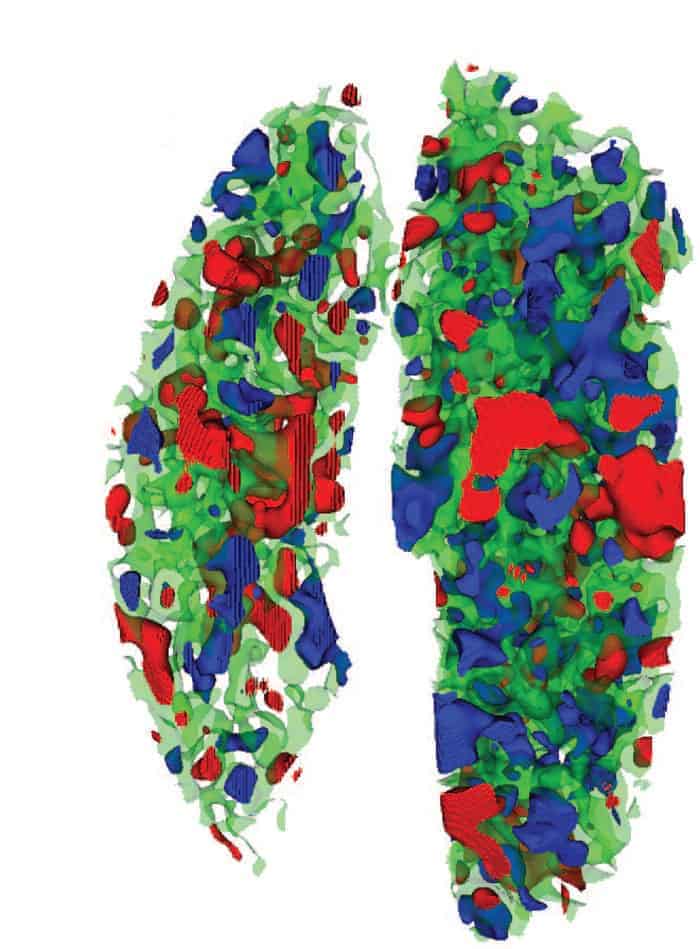 An image of the universe's large-scale topology. The image is split into two sides and each side is a complex pattern of red, green and blue areas with many holes