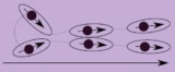 Diagram showing self-propelled particles aligning their motions