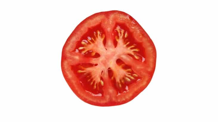 Tomato slice