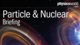 The cover of the 2024 Physics World Particle & Nuclear Briefing