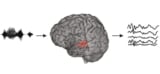 Schematic of speech reconstruction