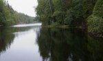 Taiga in Finland